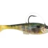 Berkley Powerbait Agent E 2 Berkley Powerbait Agent E -Karl's Fishing & Outdoors berkley hdbluegill powerbaitagente 10 01 brk 10000b