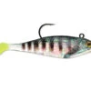 Storm WildEye Swim Shad 1 Storm WildEye Swim Shad -Karl's Fishing & Outdoors bgstorm 2