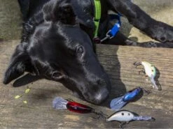 Strike King Pro Model 3XD 6 Strike King Pro Model 3XD -Karl's Fishing & Outdoors bonus