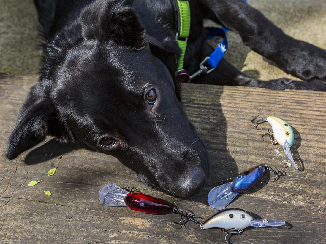 Strike King Pro Model 3XD 4 Strike King Pro Model 3XD - Image 2