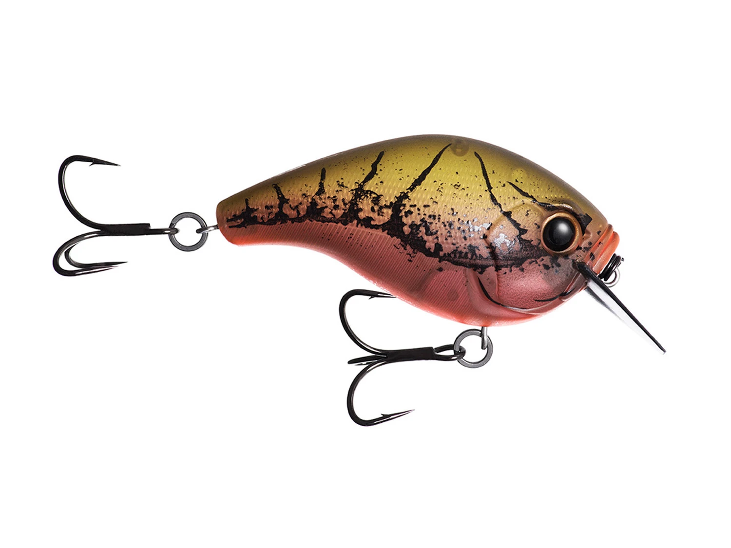 13 Fishing Scamp 3 13 Fishing Scamp