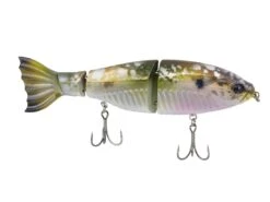 Googan Squad Limited Edition Jekyll Contender 8 Googan Squad Limited Edition Jekyll Contender -Karl's Fishing & Outdoors googansquad shimmershad contender 10 01 ggs 10016h