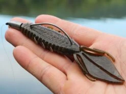 X Zone Lures Pro Series Adrenaline Bug 7 X Zone Lures Pro Series Adrenaline Bug -Karl's Fishing & Outdoors lifestyle adrenaline andrewnordbye 01