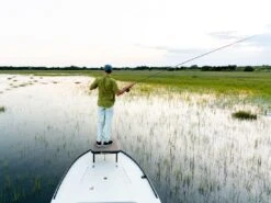 Badfish Stono Short Sleeve Button Up Shirt 9 Badfish Stono Short Sleeve Button Up Shirt -Karl's Fishing & Outdoors lifestyle badfish stono commodoreshirt 50 01 bdf 10000