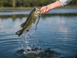 Googan Baits Blazin' Worm 8 Googan Baits Blazin' Worm -Karl's Fishing & Outdoors lifestyle blazinworm googanbaits bt6a4961