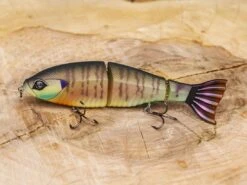 Googan Squad Contender 11 Googan Squad Contender -Karl's Fishing & Outdoors lifestyle contender 01