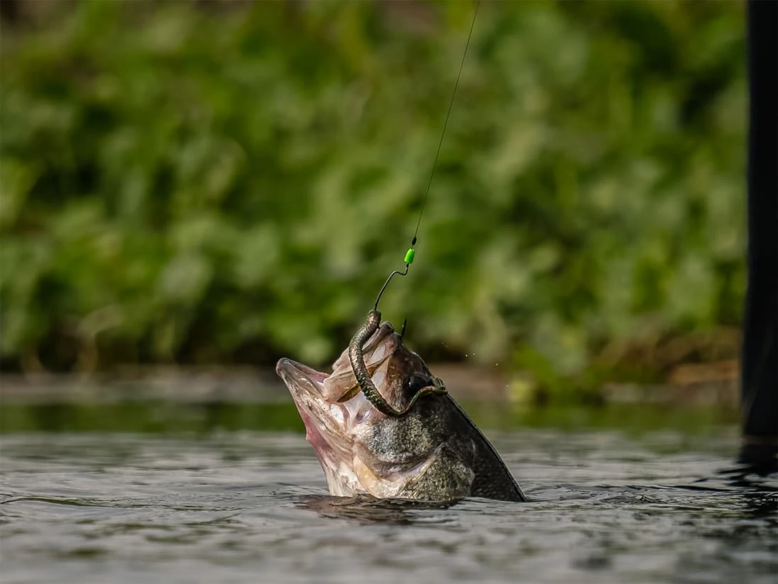 Googan Baits Green Series Weight Stops 5 Googan Baits Green Series Weight Stops - Image 3