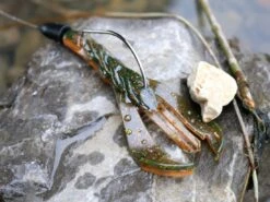 Karl's Amazing Baits Hoss Craw 3.8" 7 Karl's Amazing Baits Hoss Craw 3.8" -Karl's Fishing & Outdoors lifestyle hosscraw andrewnordbye 02