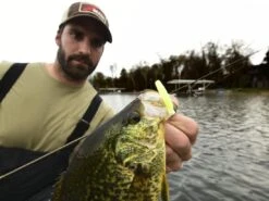 Z-Man Micro TRD 11 Z-Man Micro TRD -Karl's Fishing & Outdoors lifestyle microtrd zman glowchartreuse 1