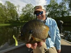 Z-Man Tiny Ticklerz -Karl's Fishing & Outdoors lifestyle tinyticklerz zman fishhand 1