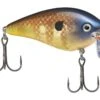 Strike King KVD 2.5 Wake Bait 2 Strike King KVD 2.5 Wake Bait -Karl's Fishing & Outdoors strikeking bluegill kvdwakebait 10 01 stk 10015a 1